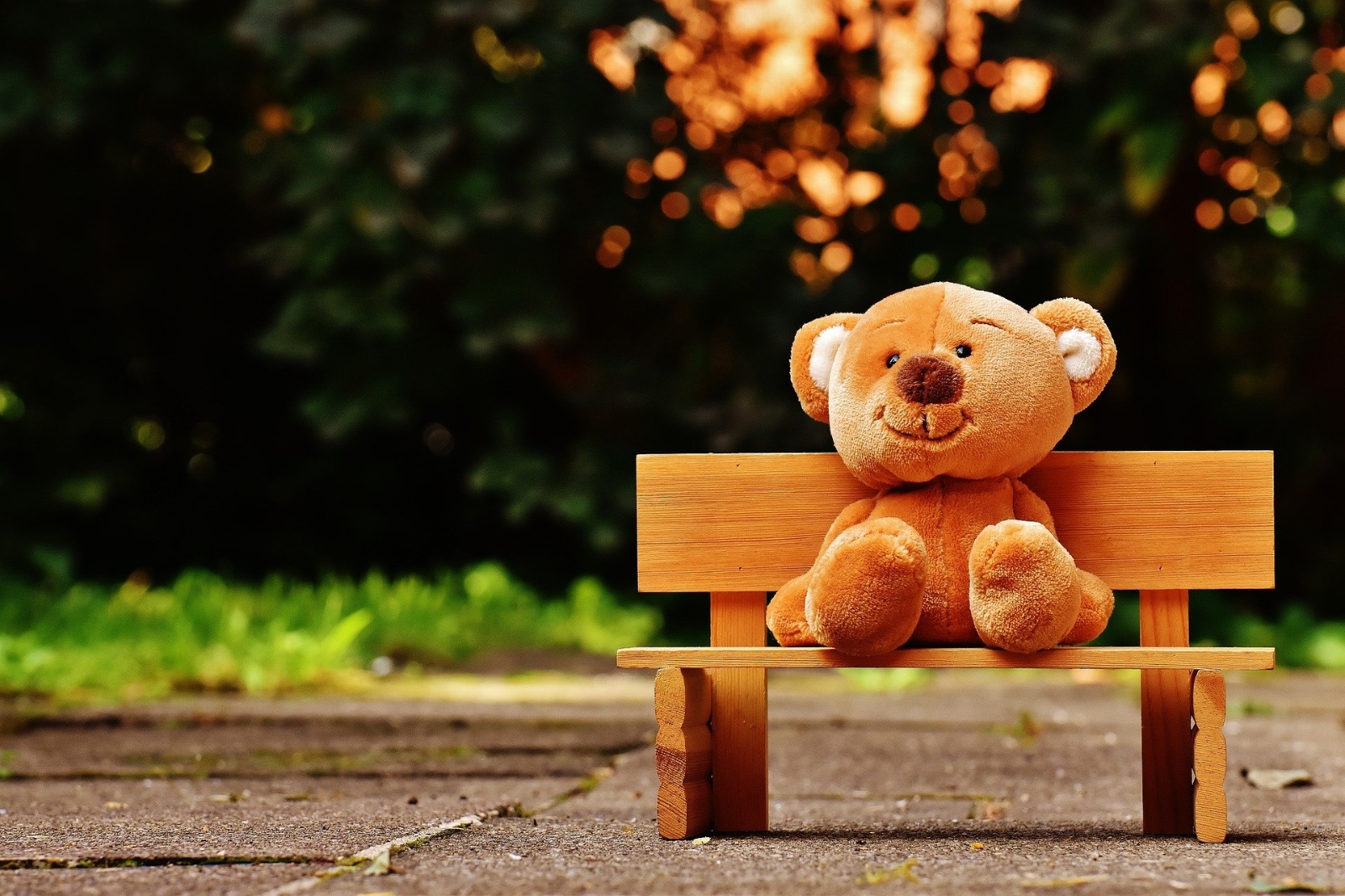teddy-1640662_1920